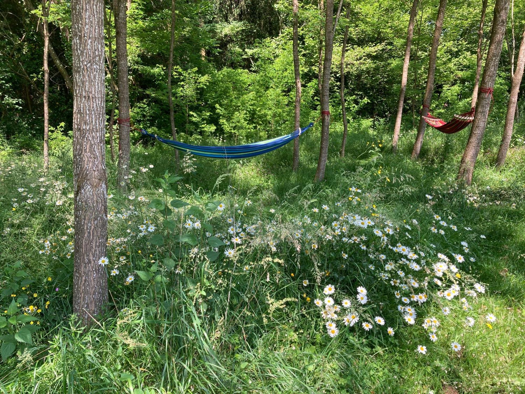 فندق Au Pre Fleuri Eco Glamping Le Lindois المظهر الخارجي الصورة
